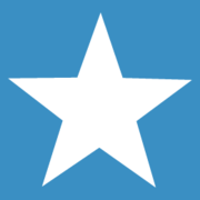 BrightStar Care logo