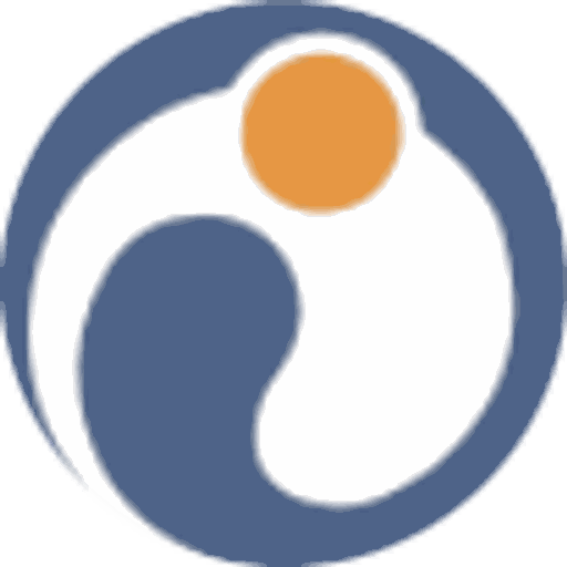 Ideal Option logo